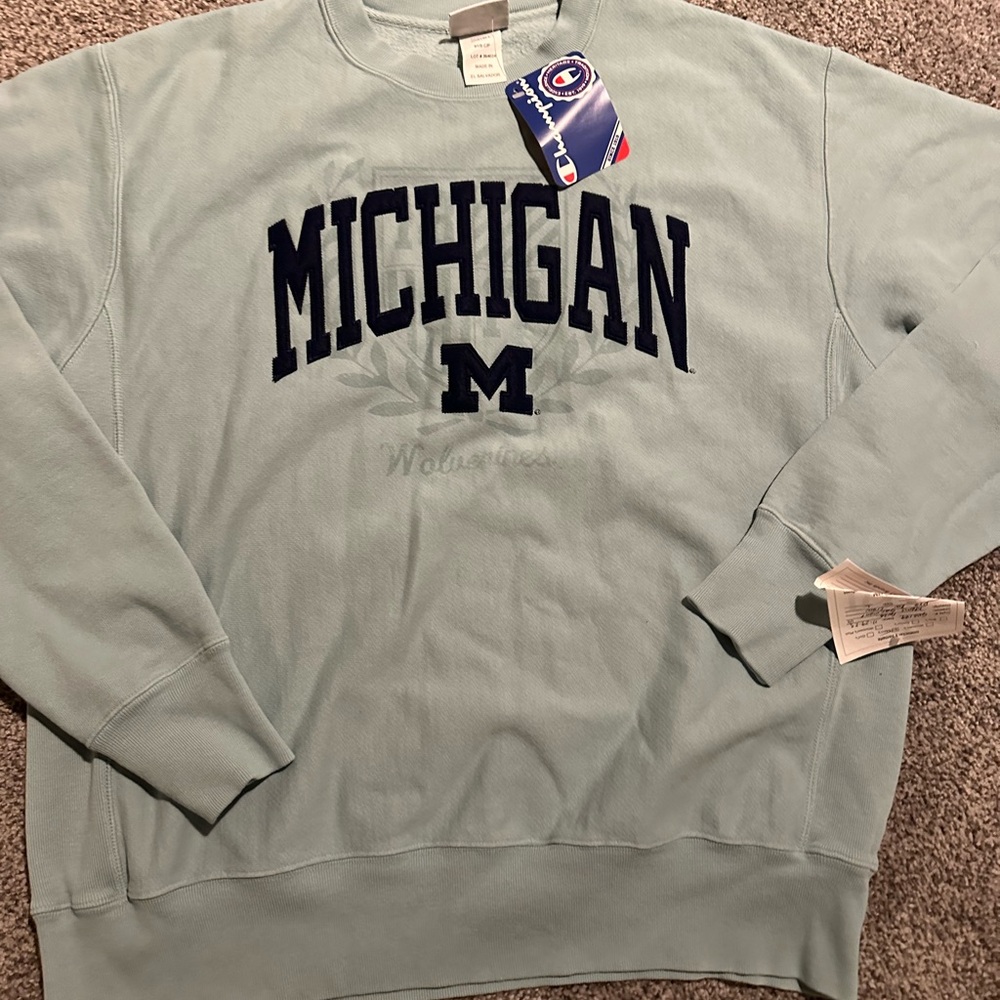 Champion Light blue Michigan Sweatshirt
